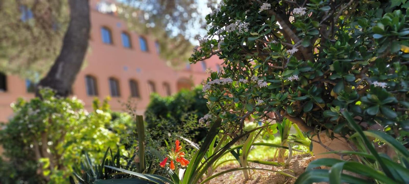 Albergue Rosa Molas Arrabal de Jesus Exterior foto